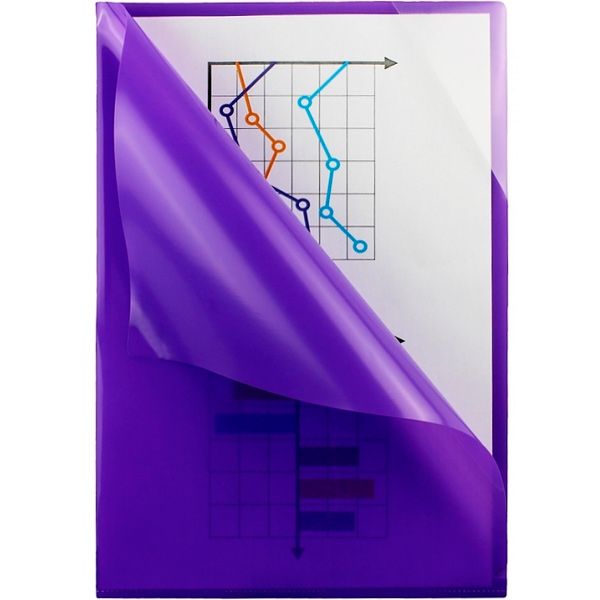 Папка Е31322 А4 Economix 30 см