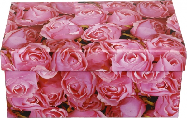 Коробка подарочная Art studio of happiness GS11717 18x10x8,5 см