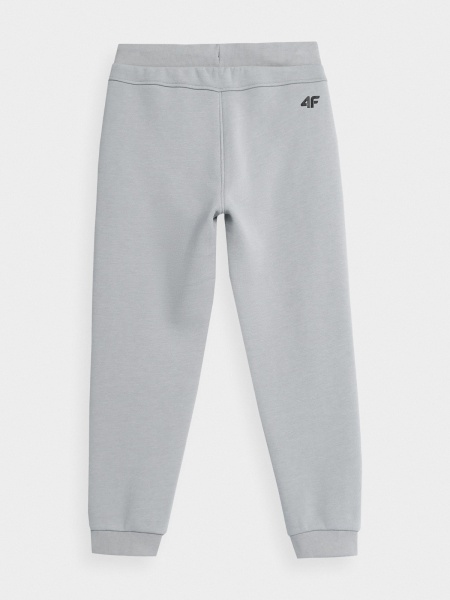 Штани 4F J4Z21-JSPMD201-27S р. 122 сірий