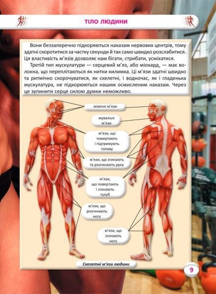 Книга Алина Котка «КнигУсе про тіло людини. 1000 цікавих фактів» 978-966-936-836-2