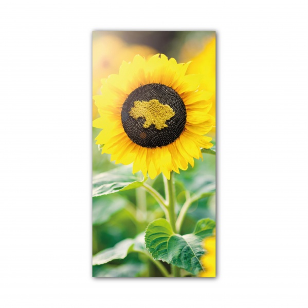 Картина Подсолнух 400x800 см GIS UKRAINE 