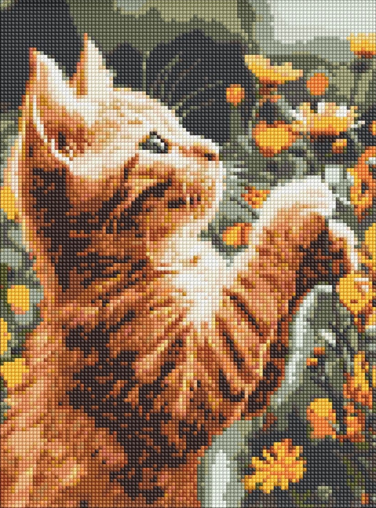 Алмазная мозаика Рыжий пушистик ©art_selena_uа Ideyka