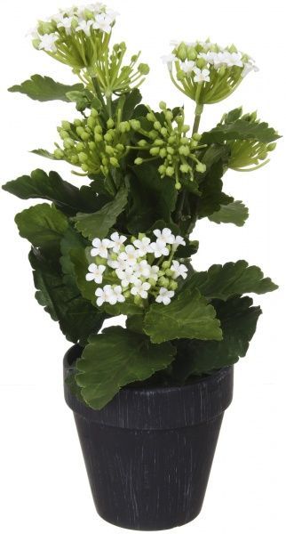 Растение искусственное Каланхоэ 23х39 см в черном горшке