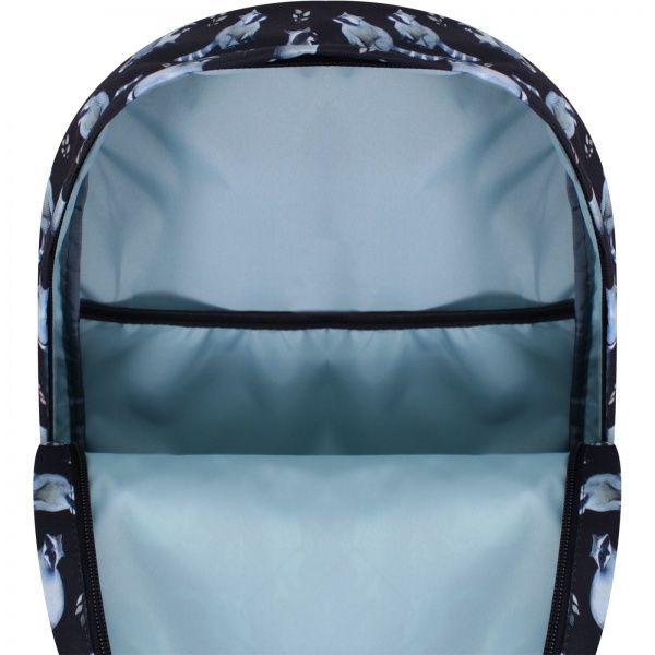 Рюкзак молодежный Bagland Енот суб.982 (533664)