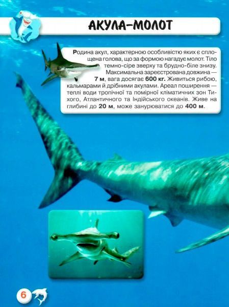 Книга Тамара Протасовицька «Світ навколо нас. Акули» 978-966-936-914-7
