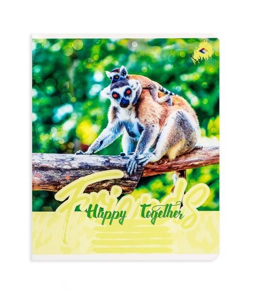 Комплект тетрадей Парочки 24 листа в клетку 20 шт. Поділля