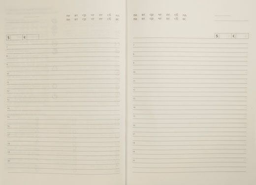 Щоденник DIAMANTE A5 недатований фіолетовий Buromax 