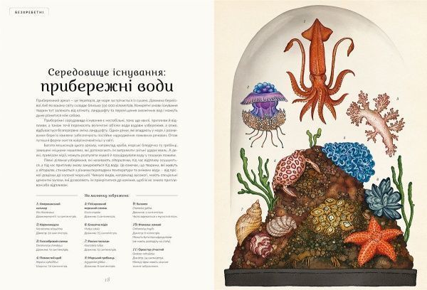 Книга Дженні Брум «Анімаліум» 978-617-679-376-2