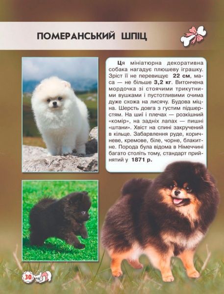 Книга Тамара Протасовицкая «Світ навколо нас. Собаки» 978-966-936-748-8