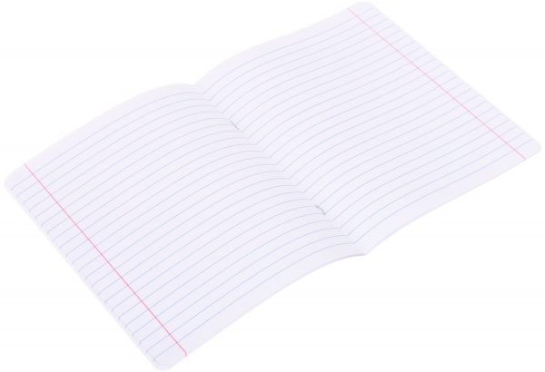 Тетрадь школьная cat 24 листа в линию