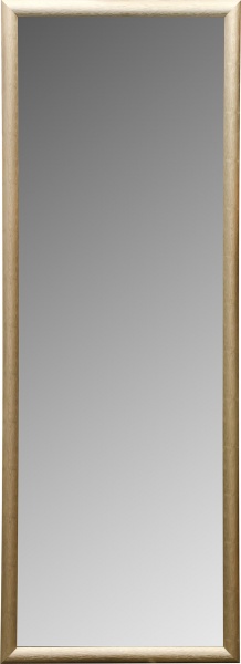 Зеркало ЭЗ-00272 45х125 см 