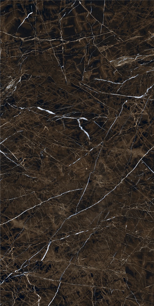 Плитка Allore Group Pulpis Brown F P R Full Lappato 60х120 см