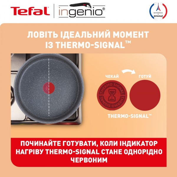 Набор посуды Tefal Ingenio Natural Force 3 предмета L3969102