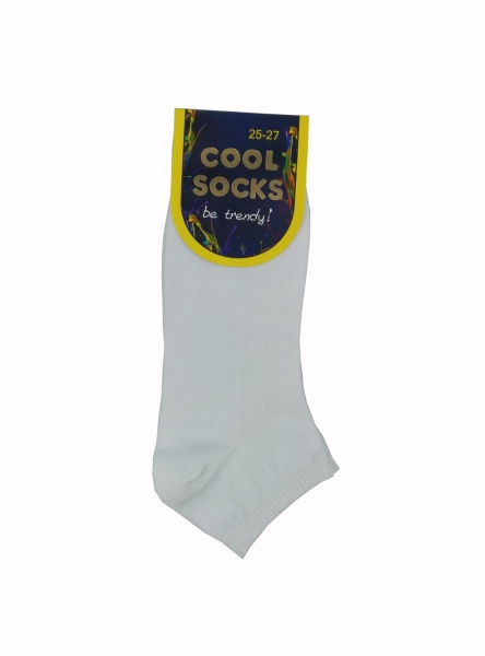 Шкарпетки чоловічі Cool Socks 11084 р. 25-27 білий 1 пар 