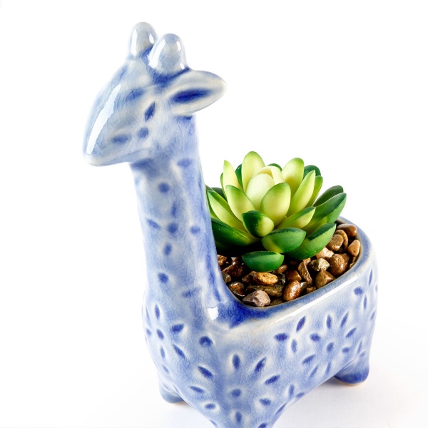 Рослина декоративна DH-FLOWERS-20 GREEN/BLUE 