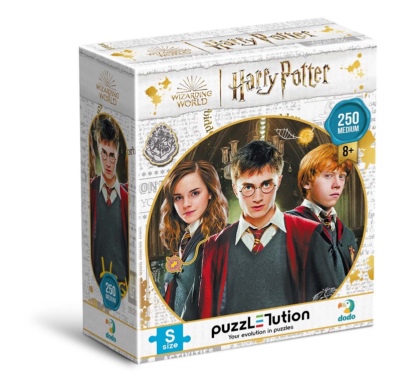Пазл DoDo Medium-S Harry Potter. Гарри и друзья, 250 элементов 200498