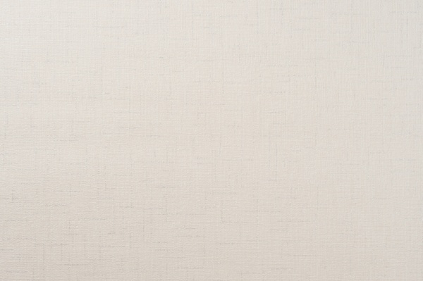 Шпалери вінілові на паперовій основі Vinil Захоплення ВКС 5-1335 0,53x10,05 м 