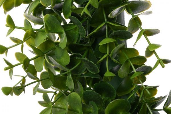 Вінок Евкаліпт 40 см HONGYE Q100-0131