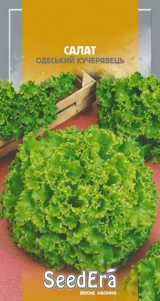 Насіння Seedera салат Кучерявець Одеський 1г
