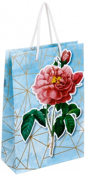 Пакет паперовий 25x17x7