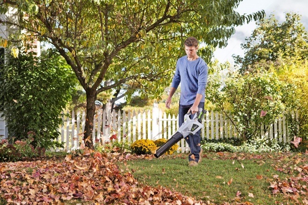 Садовый воздуходув EGO® LB4800E 56В