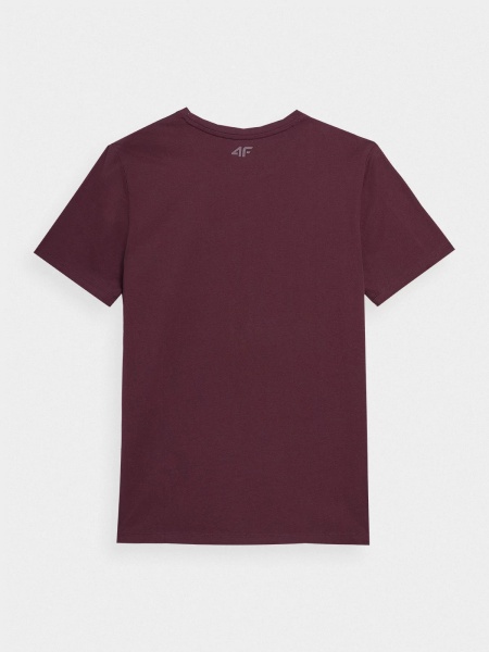 Футболка 4F TSHIRT M0943 4FAW22TTSHM0943-60S р.XL коричневий