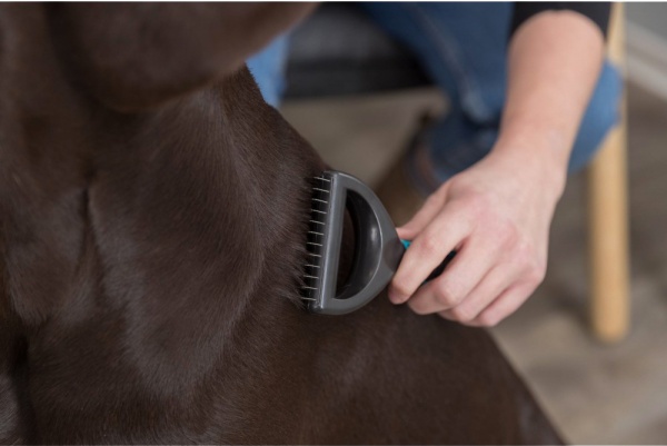 Колтунорез Trixie для собак с пластиковой ручкой 7x18см (24243)