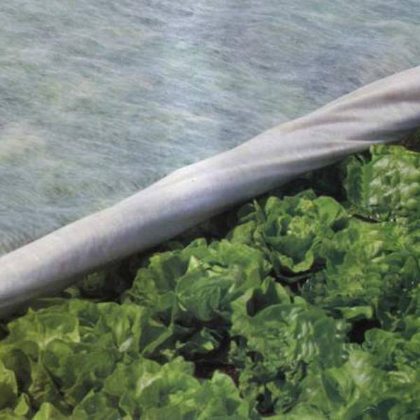 Агроволокно Growtex 30 UV біле 3,2х100 м