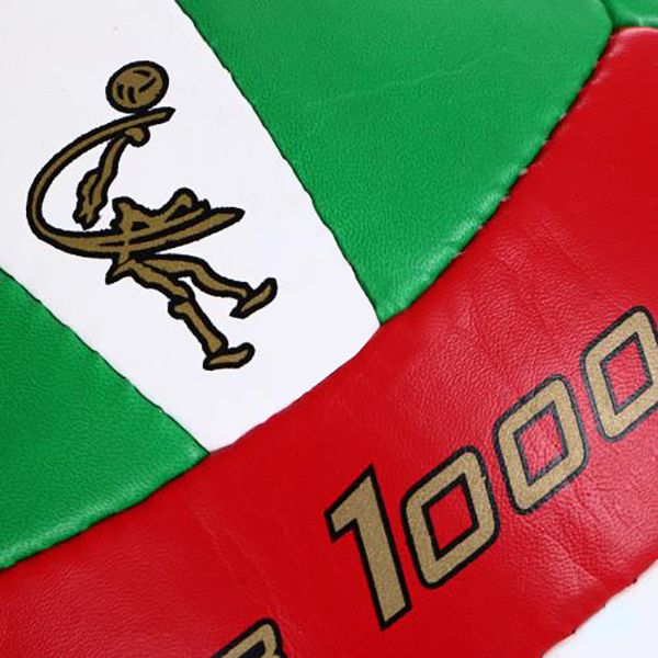 Волейбольний м'яч MaxxPro VA 1000 р.5