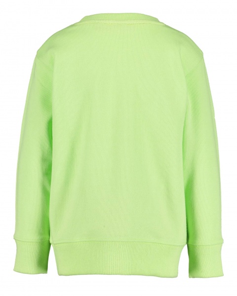 Свитшот для мальчика Blue Seven р.122 817598 X_702_р.122 