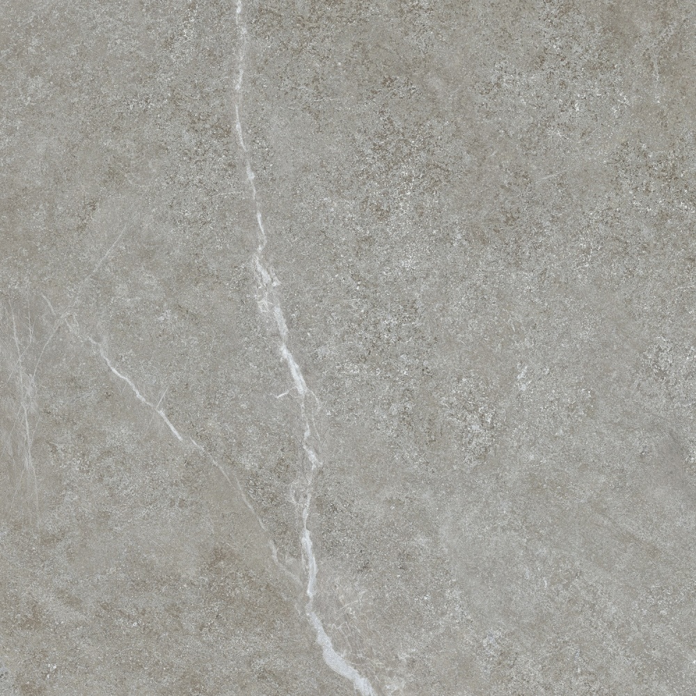 Плитка Allore Group Mariya Grey F P R Mat 60х60 см