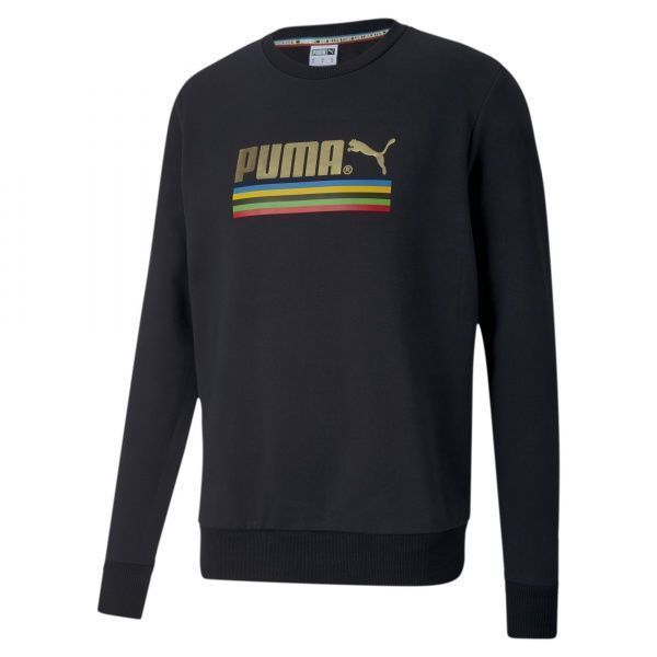 Джемпер Puma TFS Worldhood Crew 59809101 р. L черный