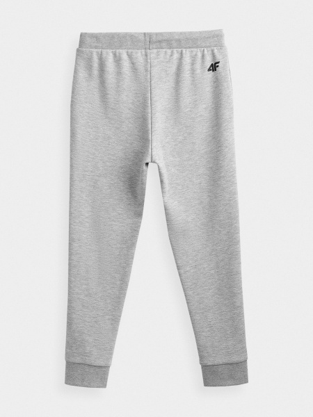 Штани 4F HJZ21-JSPMD001A-27M р. 146 сірий