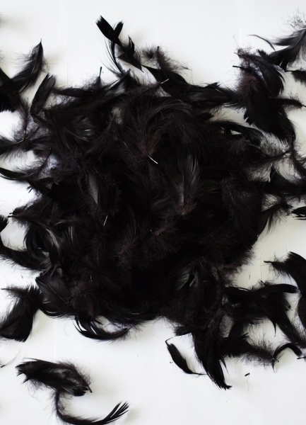 Наполнитель Перья 5896