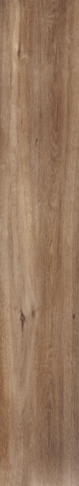 Плитка Allore Group Tahoe Gold F PR R Mat 19,8х120 см