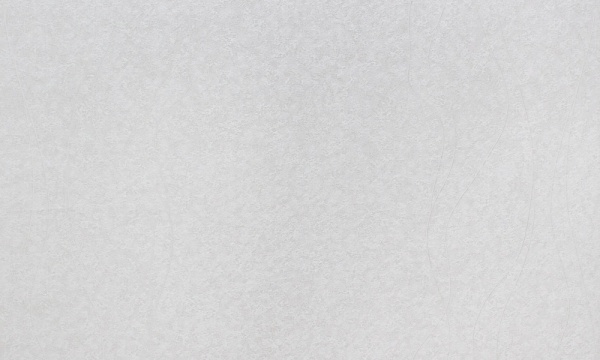 Обои виниловые на флизелиновой основе Vinil Нэо ДХН-1370/3 1,06x10,05 м 