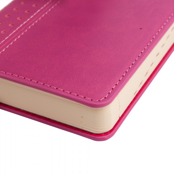 Щоденник датований сливовий 352 стор. Leo Planner Destiny A6 2024