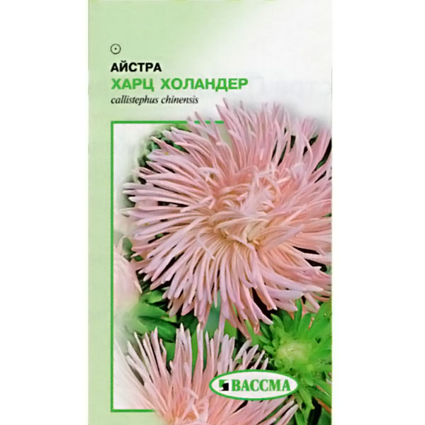 Семена Цветы Астра Харц Холандер 0.25 г