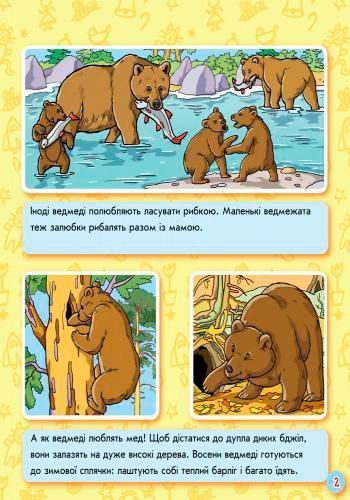 Книга-развивайка «Книжка. Энциклопедия в картинках: Животные леса» 978-966-746-381-6