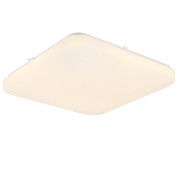 Светильник настенно-потолочный Luna Forest/PL450 76 Вт белый 3000-6000 К 