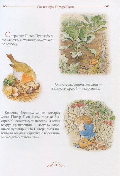 Книга Беатрис Поттер «Все про кролика Пітера» 978-966-462-908-6