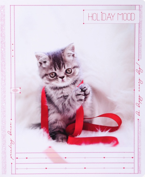 Тетрадь школьная Tadward коса