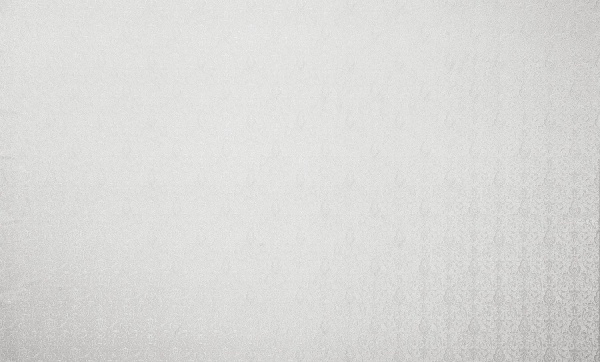 Шпалери вінілові на флізеліновій основі Bravo SIMPLE SP503-00 1,06x10,05 м 