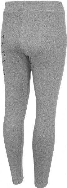 Лосины 4F H4L20-LEG010-24M XL серый