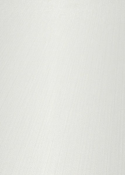 Шпалери вінілові на флізеліновій основі Erismann Fashion For Walls 2 12035-25 1,06x10,05 м 