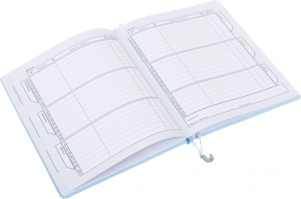 Дневник SD1612 167х211 мм 48 листов Bourgeois