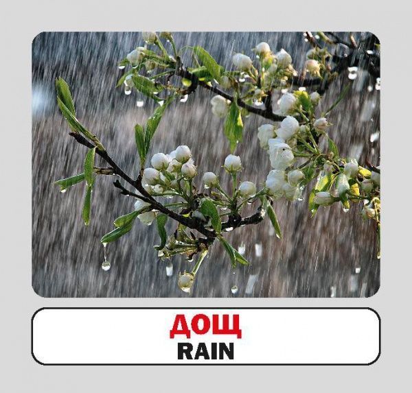 Книга «Навчальний посібник. Природні явища. англ-укр»