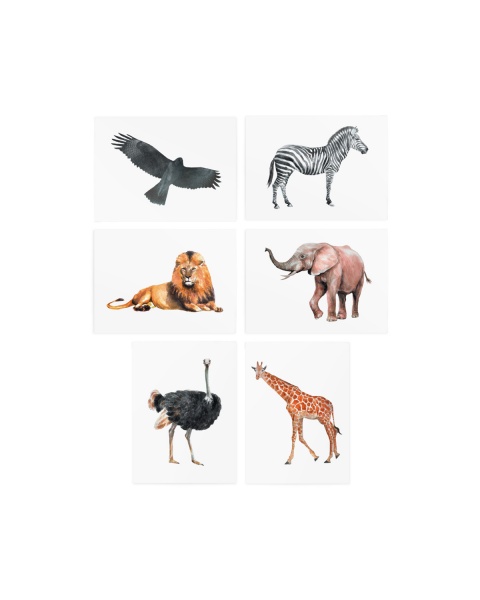 Тату тимчасове TATTon.me Animal Set