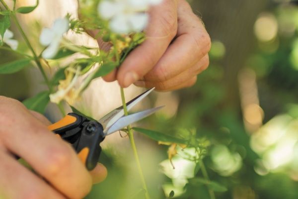 Ножиці для квітів Fiskars Solid SP13 1051600