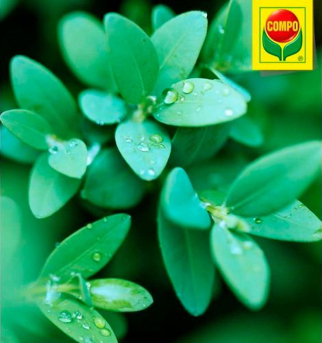 Торфосмесь универсальная Compo Sana 5 л + апликатор для зеленых расстений и пальм 30 мл 5 шт.